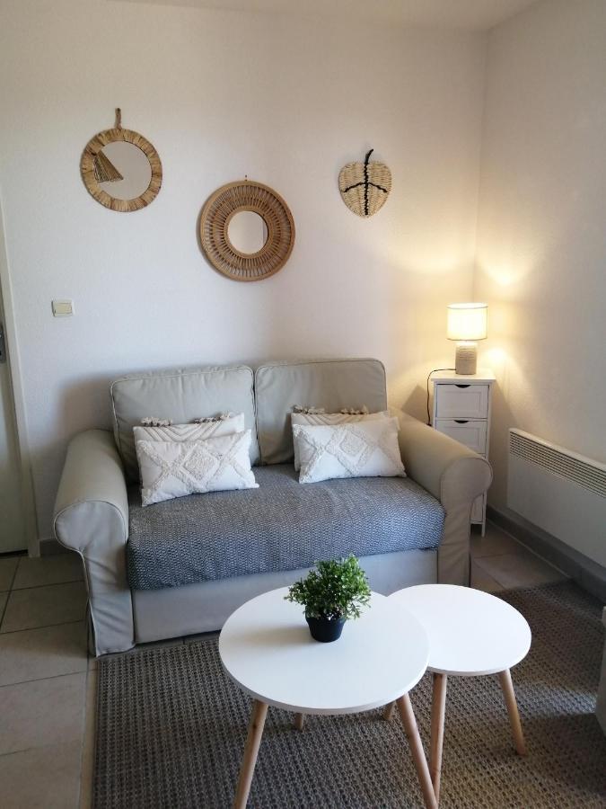 Le Cocon De Marie,Piscine, Balcon, Parking Gratuit, Baignoire Carcassonne Exterior foto