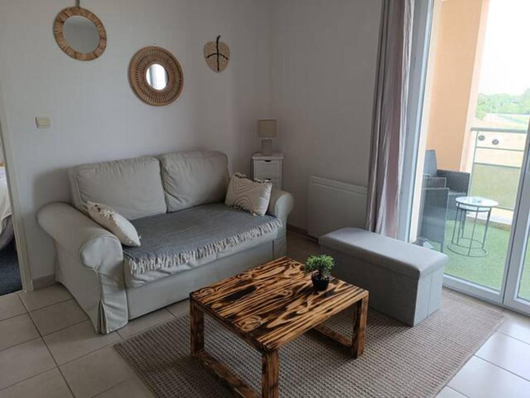 Le Cocon De Marie,Piscine, Balcon, Parking Gratuit, Baignoire Carcassonne Exterior foto